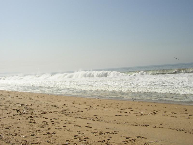 L.A. Beach (09).JPG